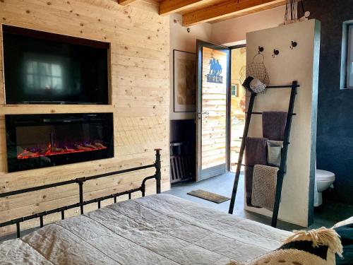 a bedroom with a fireplace and a tv and a bed at Cottage House Weyer - Mare&Filly Room in Weyer