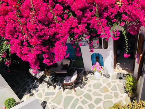 Gallery image of Batistas Apartments in Naousa