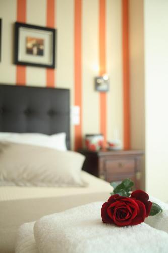 a red rose sitting on top of a bed at Anthias Garden in Lefkada Town