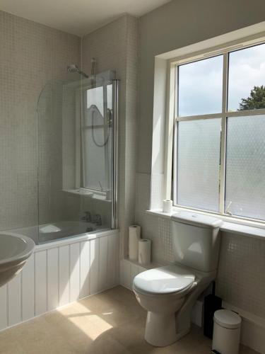a bathroom with a toilet and a sink and a window at Church View Bungay in Bungay