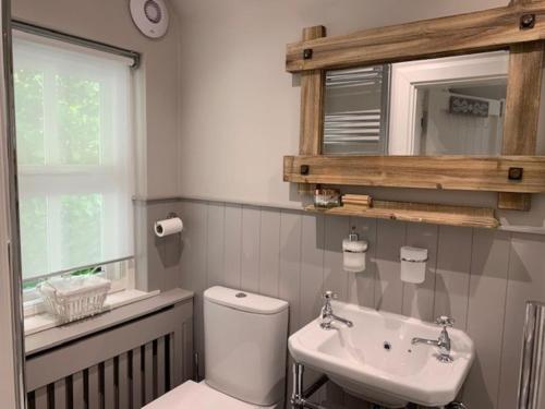 a bathroom with a toilet and a sink and a mirror at Glencroft A Fairytale Highland Cottage in Aberfeldy