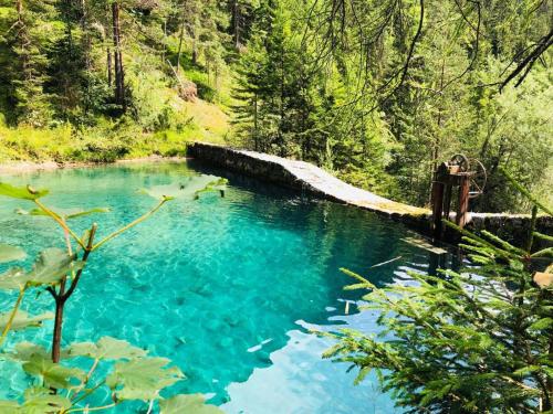 a blue pool of water with a bridge in a forest at Bergkristallhaus in Ramsau am Dachstein