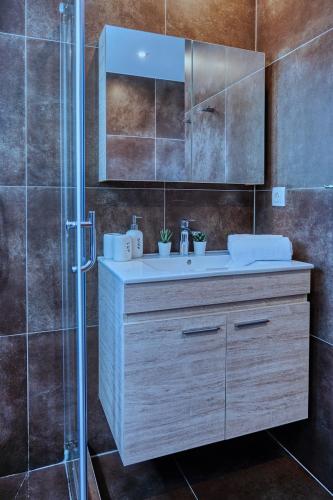 雅典的住宿－Keramikos Comfortable Apartment #2，一间带水槽和淋浴的浴室