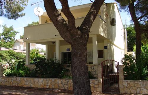 Apartment Mihalj Jadrija-Ground Floor