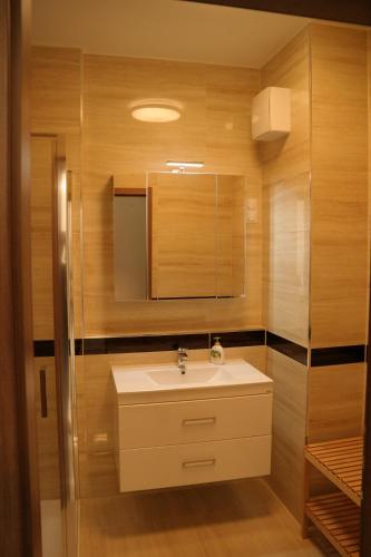 a bathroom with a sink and a mirror at Holiday Apartman with Free Parking in Győr