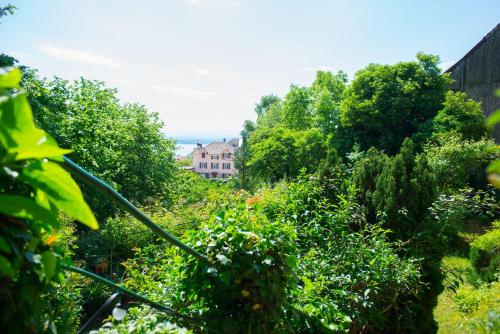 a garden with trees and a house in the background at Hôtel de la Béroche in Saint Aubin Sauges