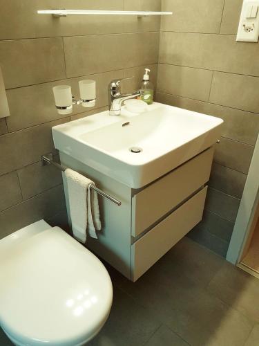 a bathroom with a white sink and a toilet at Haus Silberblick Anrig in Grächen