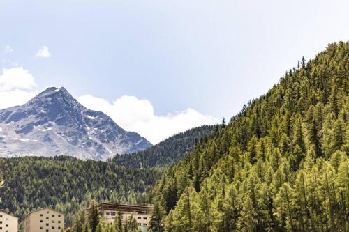 una montagna con alberi ed edifici in primo piano di Bäckelar‘s Apart a Sölden