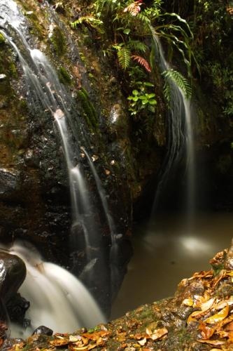 a waterfall in the middle of a pool of water at Green Hostal Popayan in Popayan
