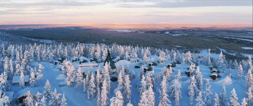 an aerial view of a forest of trees covered in snow at Golden Crown - Levin Iglut in Levi