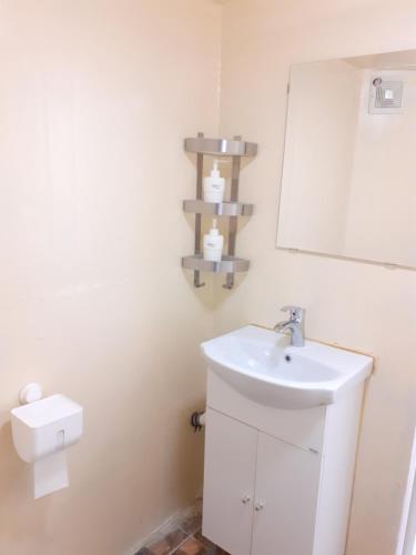 a bathroom with a sink and a mirror and a toilet at Budapest Three Cats Hostel in Budapest