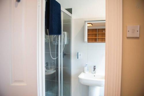 a bathroom with a shower and a sink at Rugby Lodge in Dublin