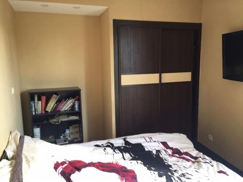 a bedroom with a bed and a book shelf at Appart Thonon Corzent au bord du Lac in Thonon-les-Bains