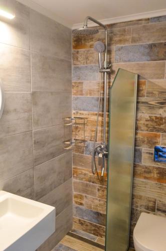 a bathroom with a shower and a toilet at Sevi Apartments in Kefalos