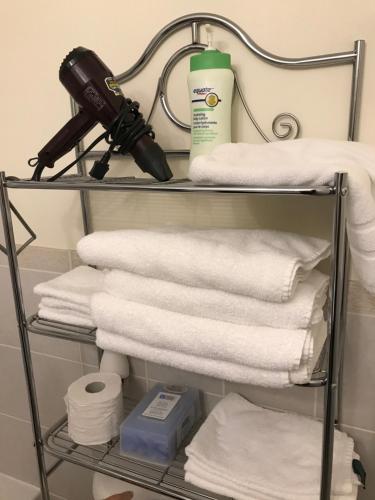 Un sèche-cheveux et un sèche-serviettes sont fournis. dans l'établissement Sara's Place - Strictly Kosher Home, à Thornhill