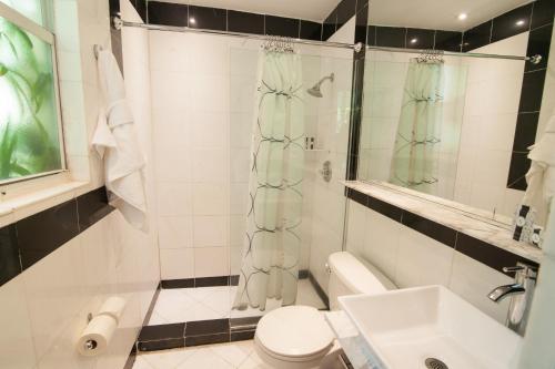 a bathroom with a toilet, tub, sink and shower at Shelley Hotel in Miami Beach