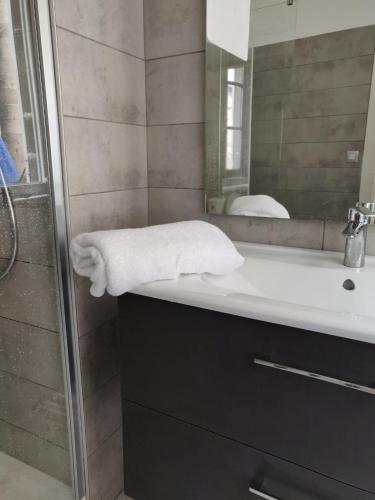 une salle de bain avec un lavabo et un miroir dans l'établissement Suite Hôtel de Ville - Cathédrale, à Clermont-Ferrand