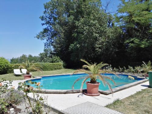 a swimming pool in a garden with palm trees at La Garde Chambres d'hôtes in Charancieu
