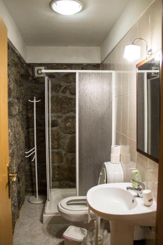 a bathroom with a toilet and a sink and a shower at Quinta Do Meira in Braga