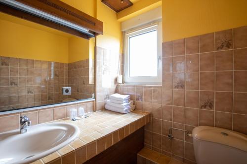 a bathroom with a sink and a toilet and a window at Hôtel Restaurant et Spa Au Tilleul in Labaroche