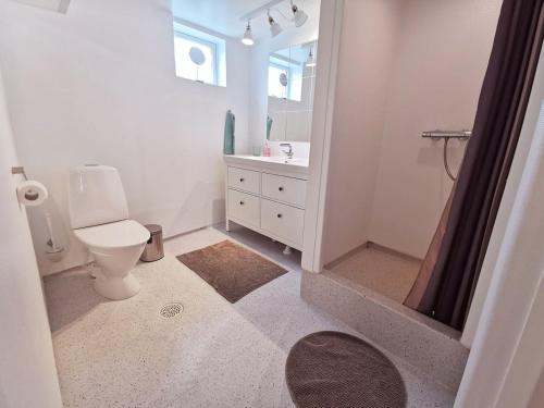 a bathroom with a toilet and a sink and a shower at A Green Pearl in the Heart of Tórshavn in Tórshavn