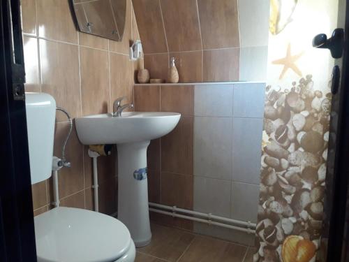 a bathroom with a white sink and a toilet at Vili Bilyana in Crni Vrh