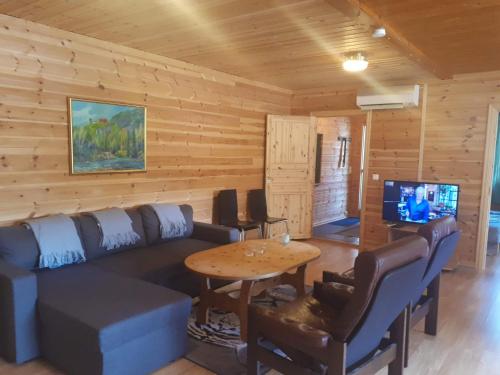 a living room with a couch and a tv in a cabin at Fossekroa in Svarstad