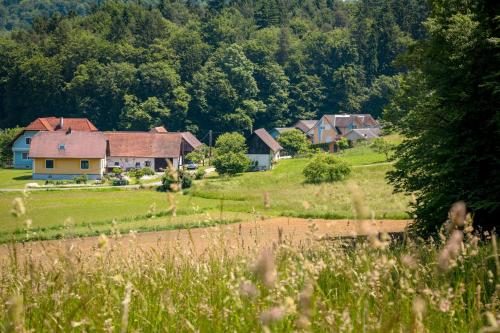 a group of houses on a hill next to a field at Lackenbauer in Muggenau