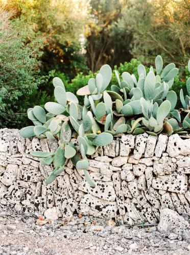 a stone wall with succulent plants on top of it at Casal Santa Eulalia in Can Picafort