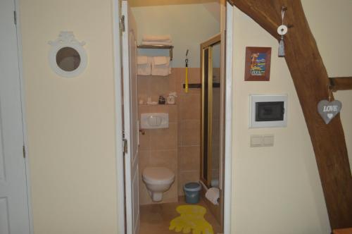 a small bathroom with a toilet and a shower at La Gentilhommière du Château de Ragnies in Ragnies