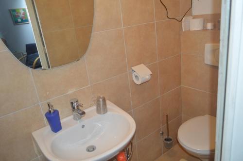 a bathroom with a sink and a toilet at La Gentilhommière du Château de Ragnies in Ragnies