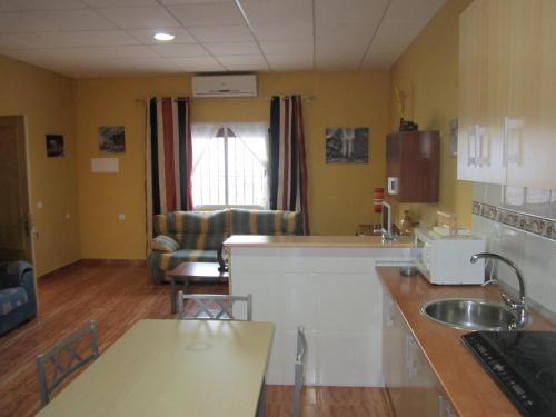 a kitchen with a sink and a counter top at Apartamentos Venta Don Quijote in Almagro