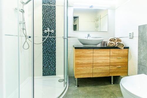 a bathroom with a sink and a shower at JULIUSZ in Sandomierz