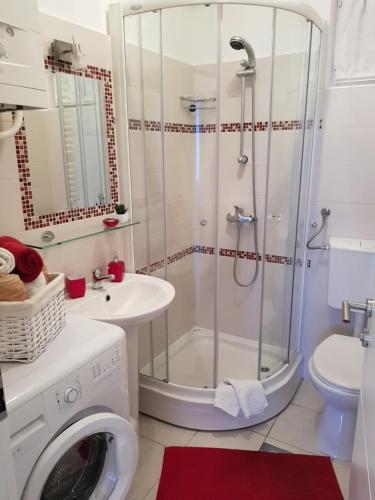 a bathroom with a shower and a washing machine at Apartman Ruza 1 in Poljane