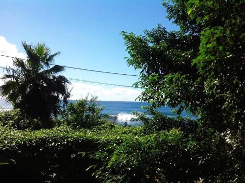 Charming 2BR with Refreshing Ocean View and Patio