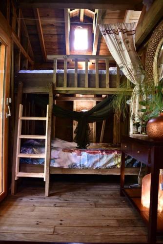 a room with two bunk beds and a ladder at West Indies Cottage in Pointe-Noire