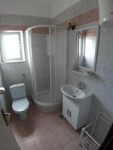 a bathroom with a shower toilet and a sink at Apartment Milka in Vinjerac