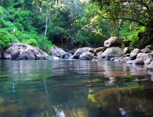 a stream of water with rocks and trees at Heritage Belihuloya Resort in Belihul Oya