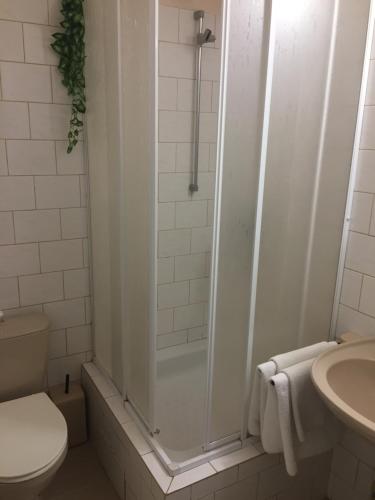 a bathroom with a shower and a toilet and a sink at Hotel-Pension KAMÝK in Prague