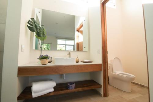 a bathroom with a sink and a toilet and a mirror at Siete Cielos in La Laguna