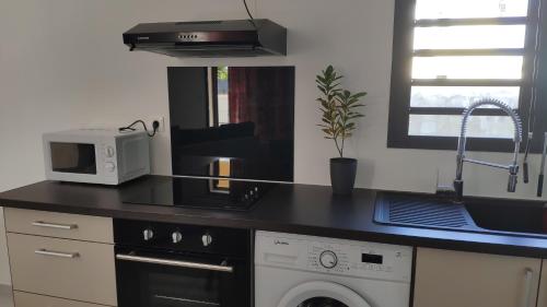 a kitchen with a counter top with a microwave and a dishwasher at Le Shanti - la paix in Ravine des Cafres-les Bas