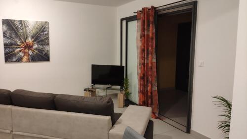 a living room with a couch and a tv at Le Shanti - la paix in Ravine des Cafres-les Bas