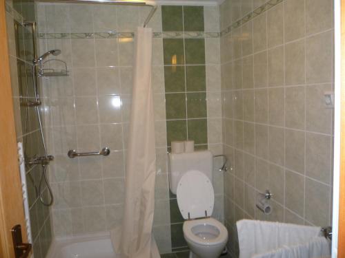 AbaújszántóにあるAba Vezér Vendégházの小さなバスルーム(トイレ、シャワー付)