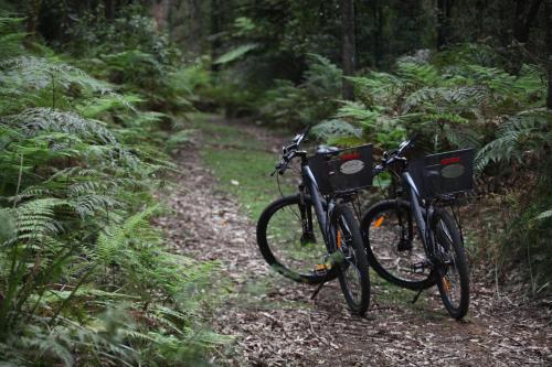 
Biking at or in the surroundings of Woodlands Rainforest Retreat
