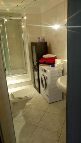 un bagno con lavatrice e lavandino di Willa Alba a Gorzów Wielkopolski