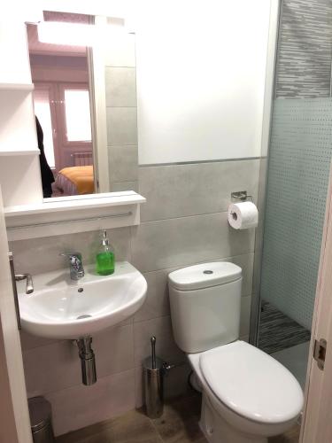 a bathroom with a toilet and a sink and a mirror at Alojamiento HC in Colmenar Viejo