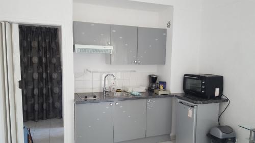 une petite cuisine avec un évier et un micro-ondes dans l'établissement Nice Centre Studio Proche Mer, à Nice