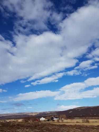 a field with a blue sky and clouds at Guesthouse Gamli Bær in Húsafell