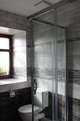 a bathroom with a toilet and a glass shower at Relax pension Schonwald in Budišov nad Budišovkou