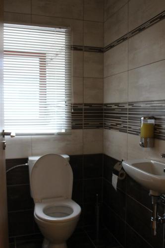 a bathroom with a toilet and a sink at Relax pension Schonwald in Budišov nad Budišovkou